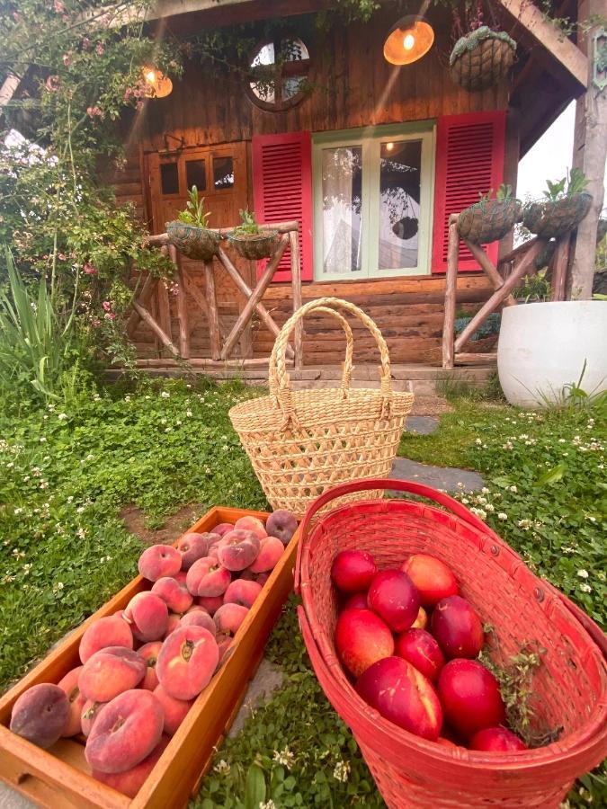 Meena Bagh Ratnari- An Apple Orchard Bungalow Bagi Εξωτερικό φωτογραφία