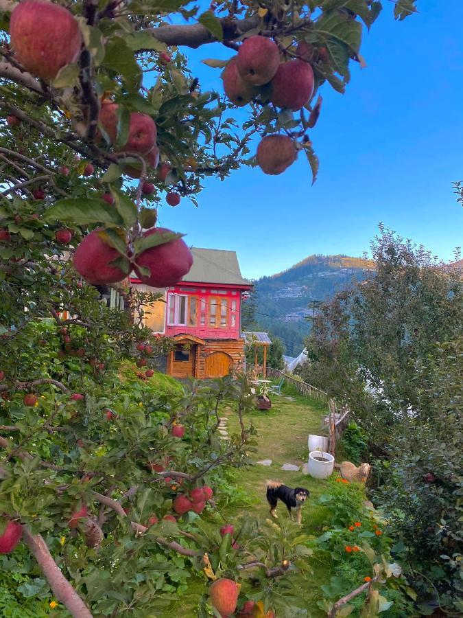 Meena Bagh Ratnari- An Apple Orchard Bungalow Bagi Εξωτερικό φωτογραφία
