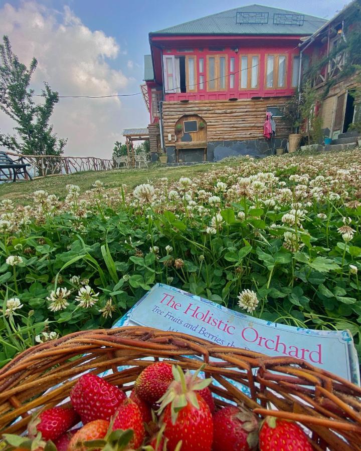 Meena Bagh Ratnari- An Apple Orchard Bungalow Bagi Εξωτερικό φωτογραφία